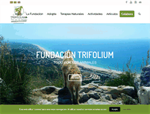 Tablet Screenshot of fundaciontrifolium.org